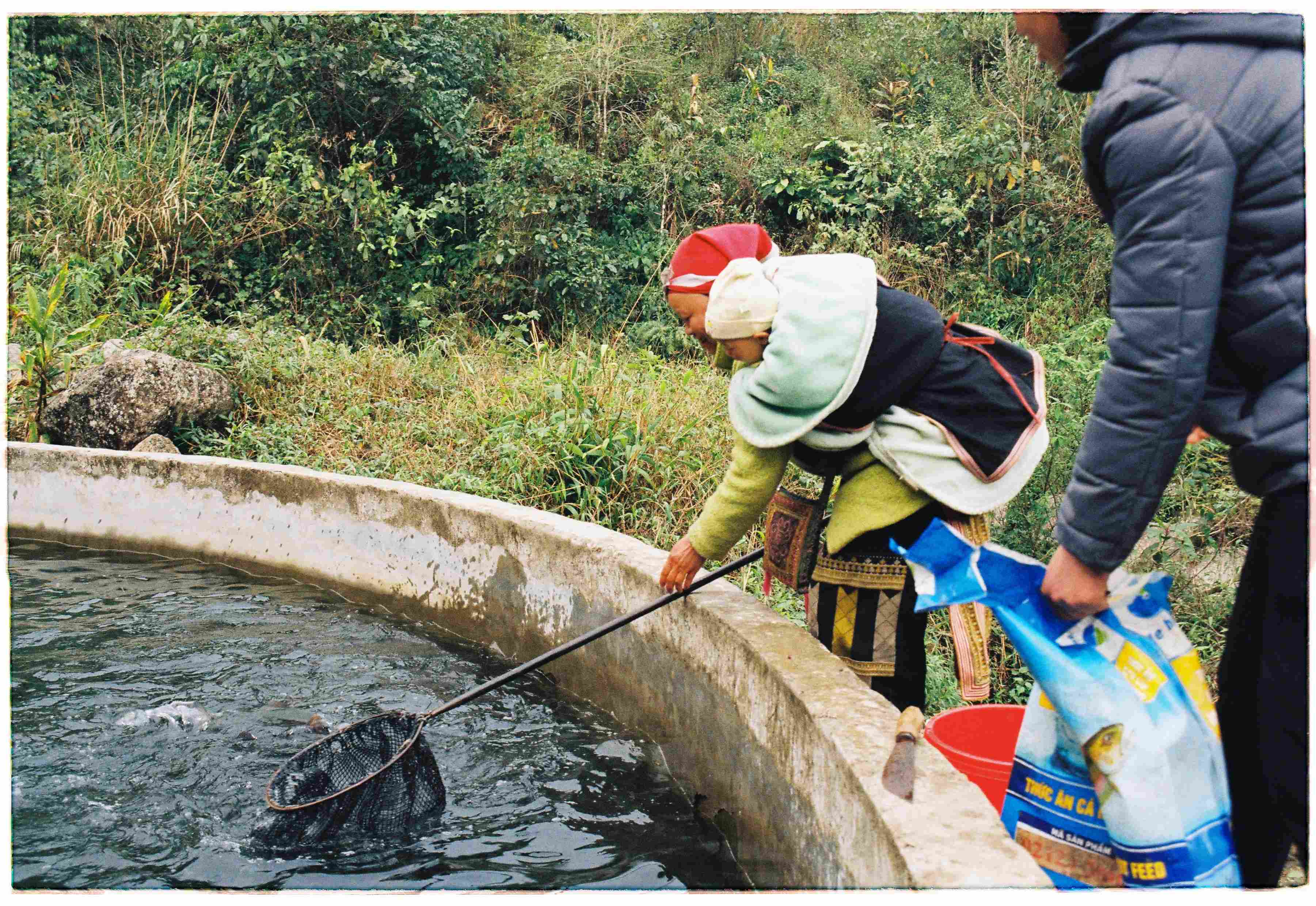 Em bé cũng mẹ đi vớt cá hồi suối Sapa