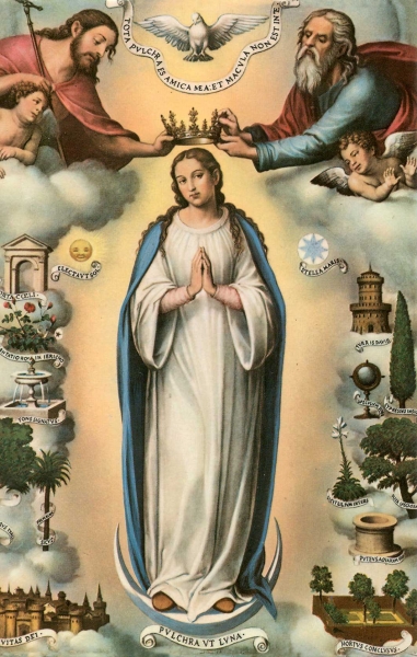 Salve, Regina, Mater misericordiae,
vita, dulcedo, et spes nostra, salve.