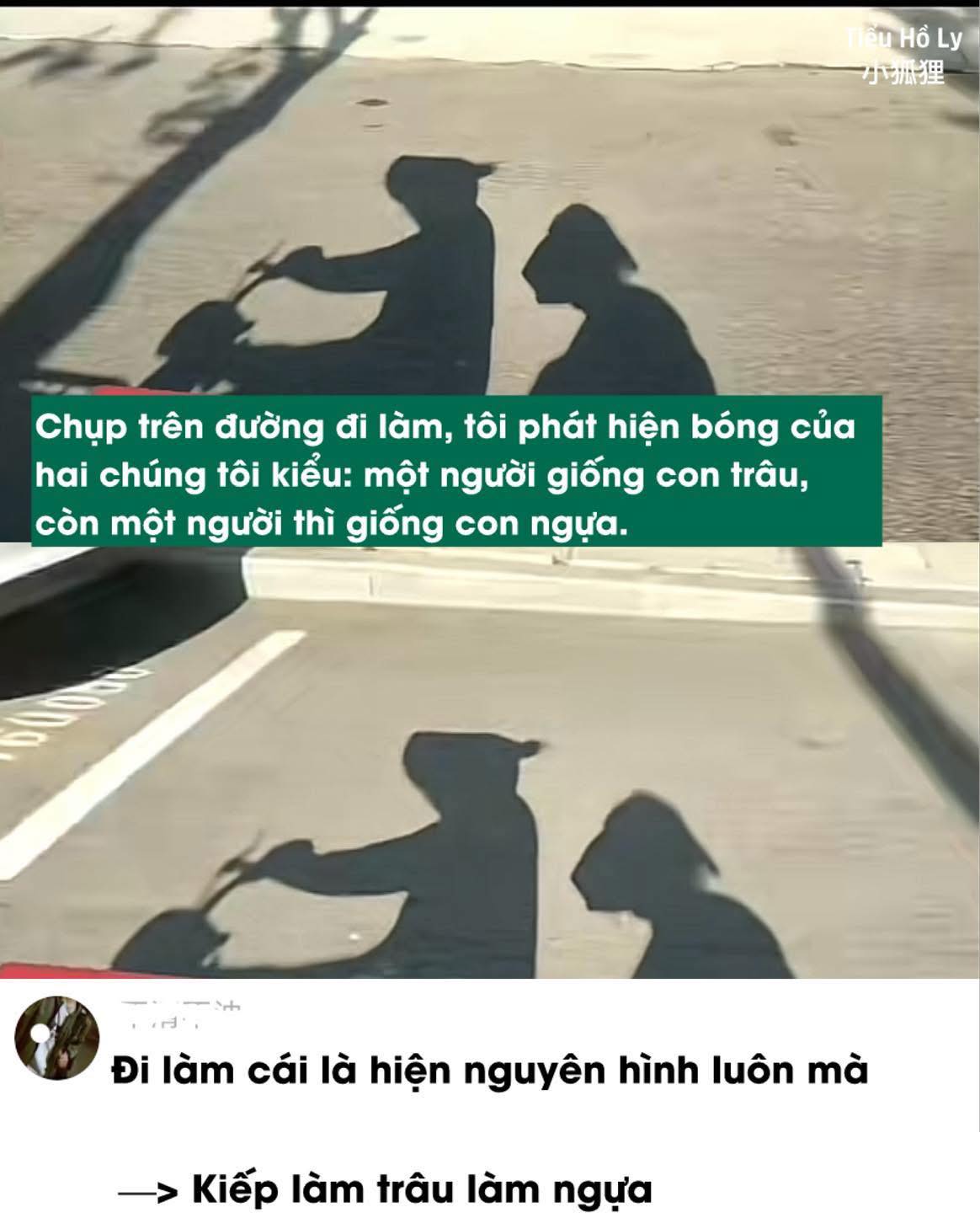 Đúng là cuộc đời