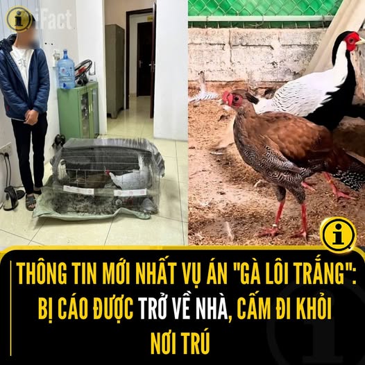 Chánh án TAND tỉnh Hưng Yên đã kiến nghị Viện kiểm sát kháng nghị bản án hình sự sơ thẩm