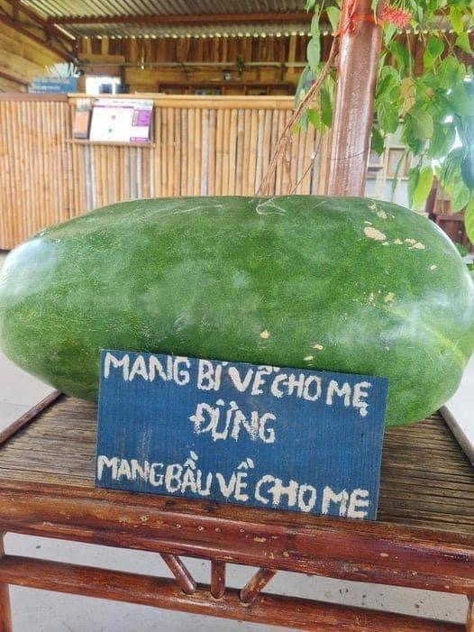 Mang … về cho mẹ