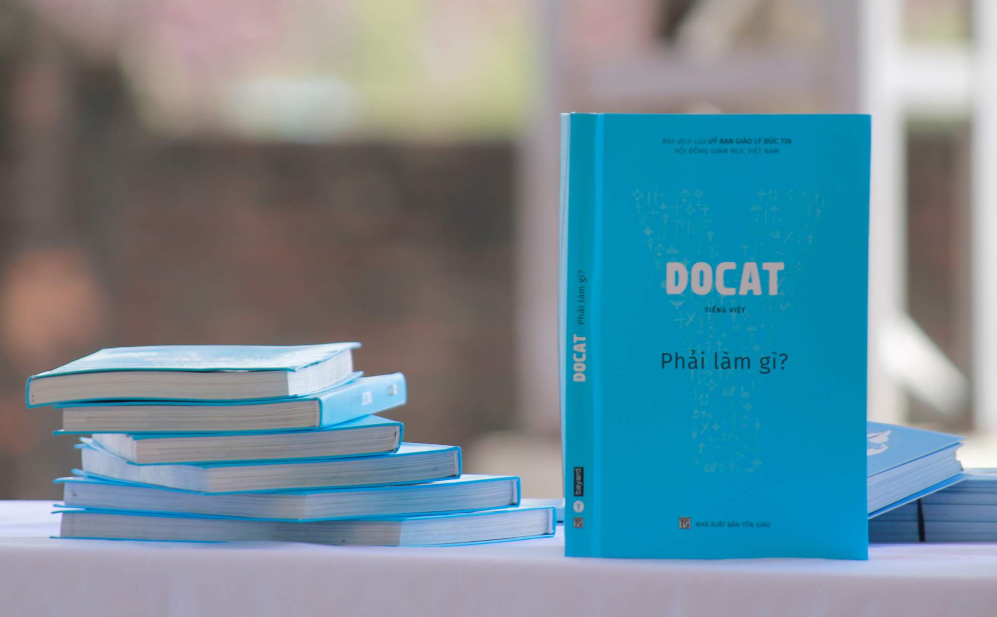 Phailamgi_ DOCAT Phải làm gì học thuyết xã hội công giáo_cv2.JPG