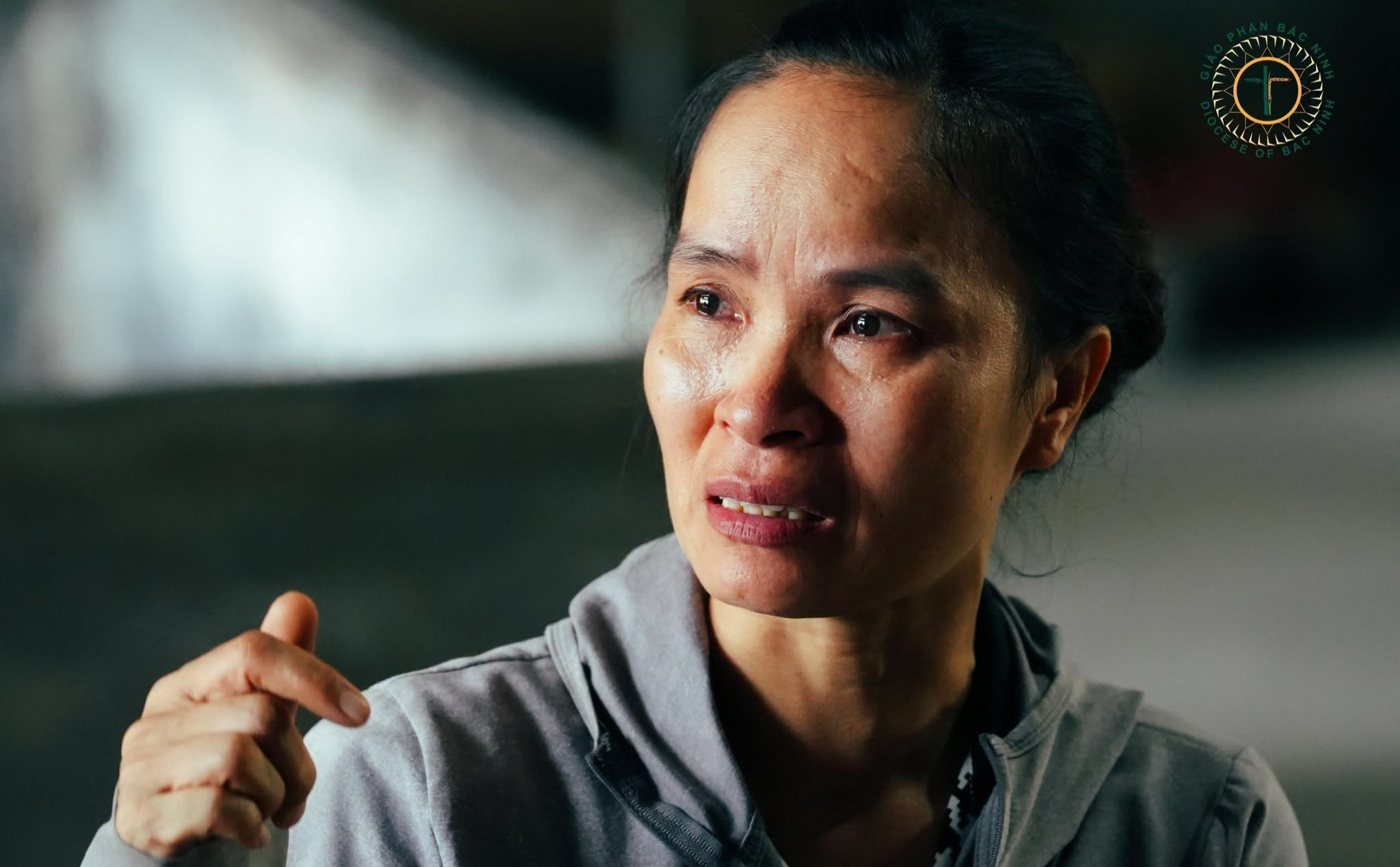 phailamgi_Bởi chúng tôi đã tin…_cv2.jpg