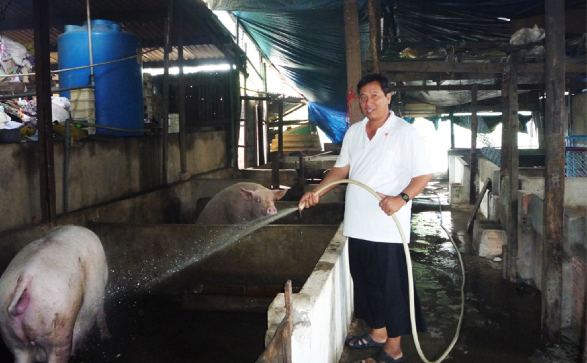 phailamgi_Các tu sĩ không chức linh mục trong các dòng giáo sĩ_1.jpg