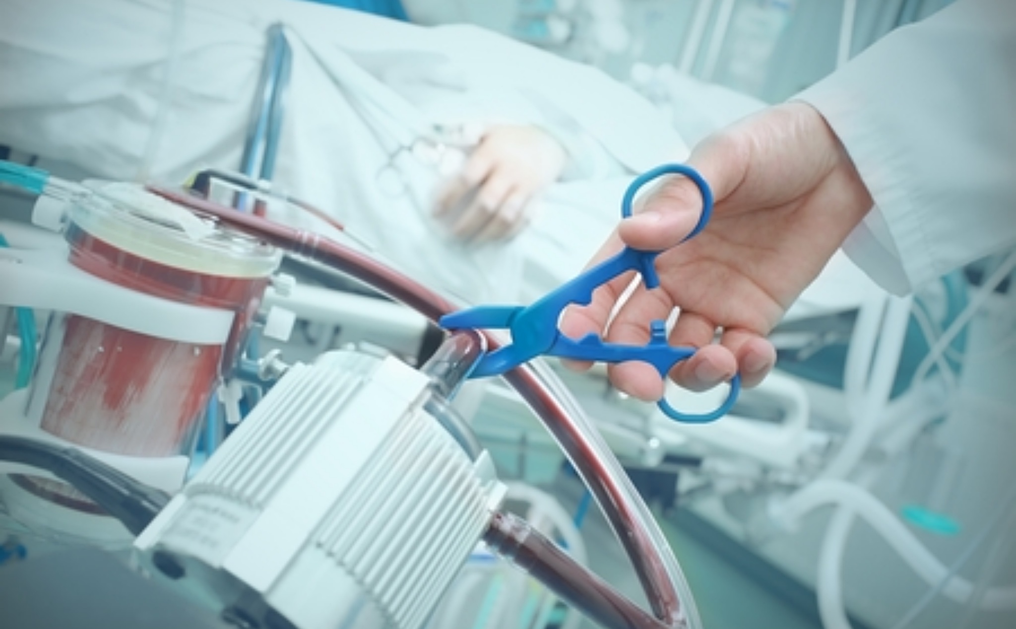 phailamgi_Con người có sở hữu mạng sống của chính mình không và đâu là lời đáp cho vấn đề an ...jpeg