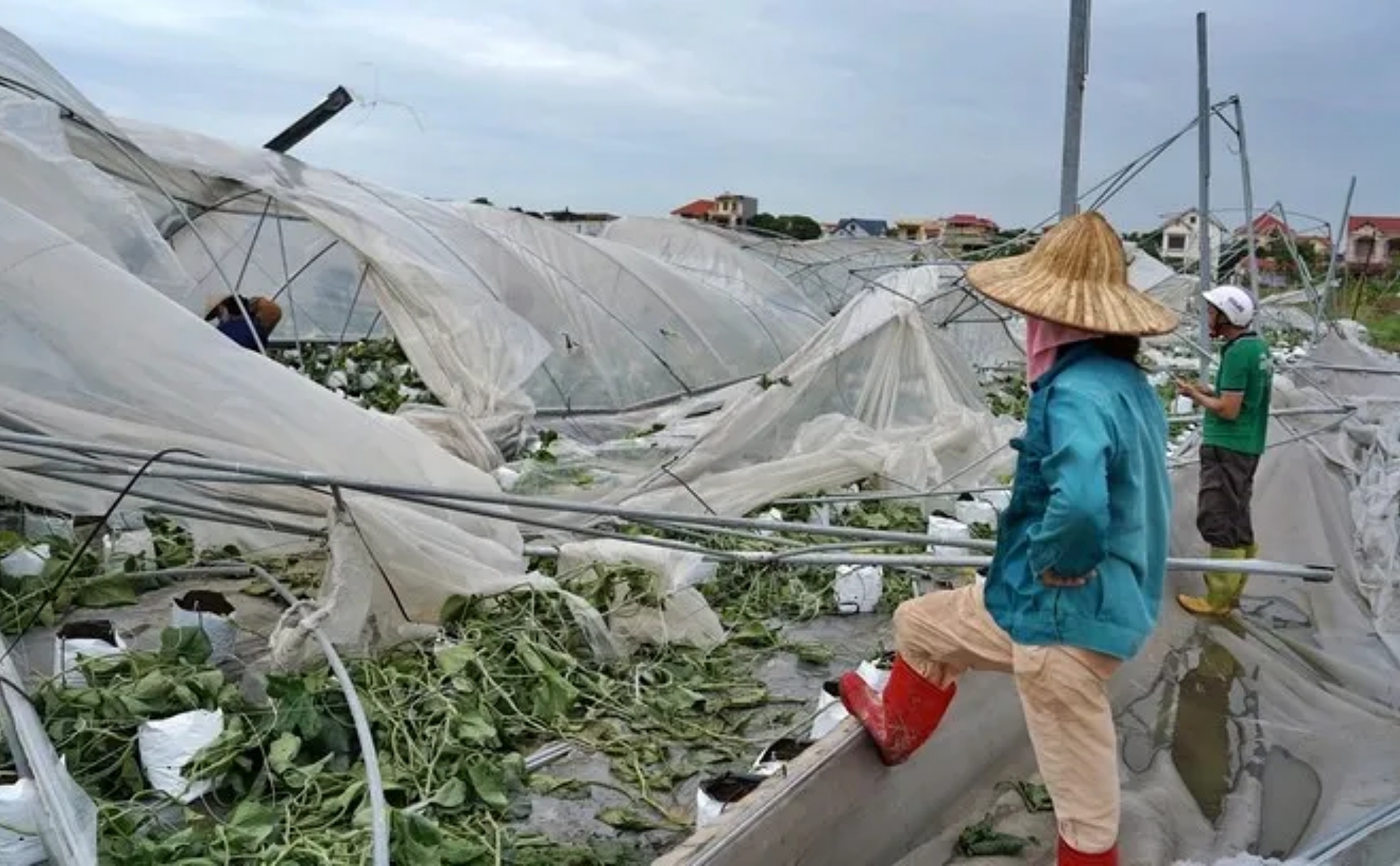phailamgi_Cứu trợ không làm kinh tế suy yếu, mà tái cấu trúc lại dòng tiền theo hướng hiệu quả...jpg