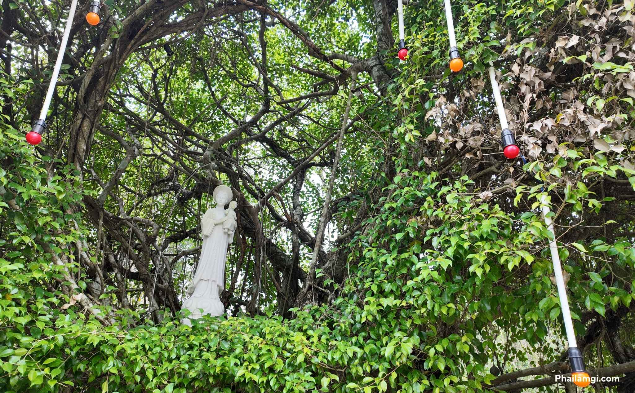 phailamgi_Dấu ấn trường tồn của Đức Maria trong dòng lịch sử nhân loại_cv1.jpg