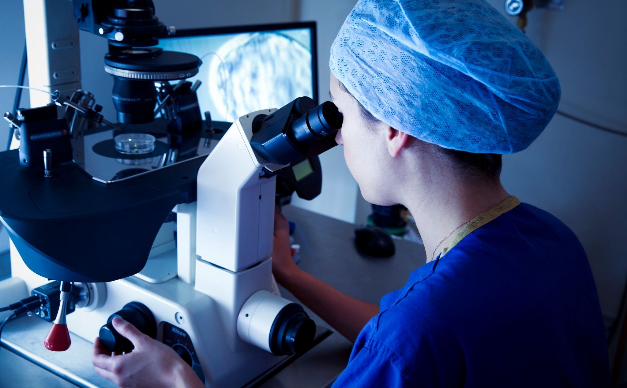 phailamgi_Giáo hội cấm IVF, làm thế nào để đối thoại với người được sinh ra nhờ phương pháp nà...jpg