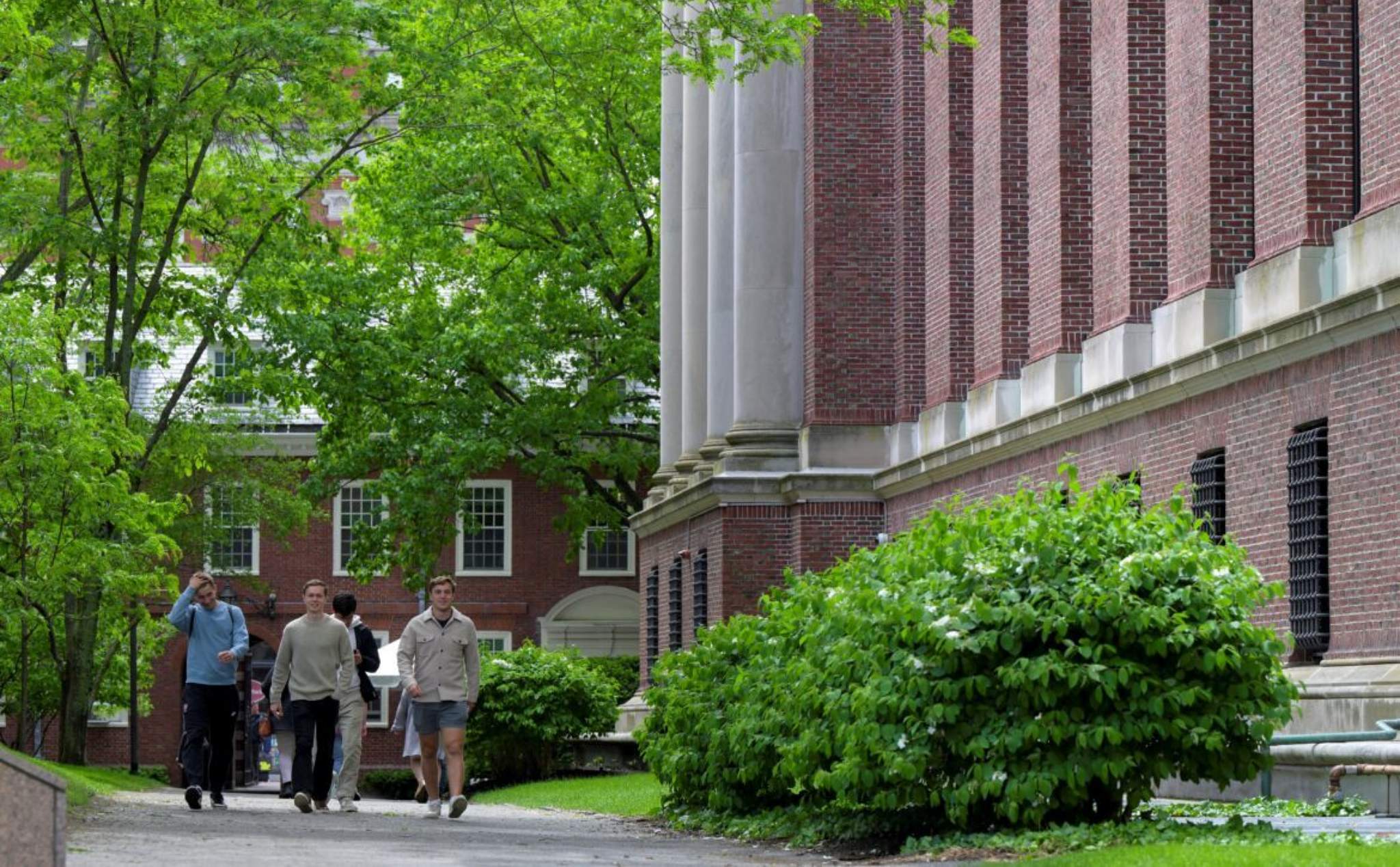 Phailamgi_Hành động của chính quyền Trump với Harvard và Columbia Những hệ lụy tiềm tàng đối v...jpg