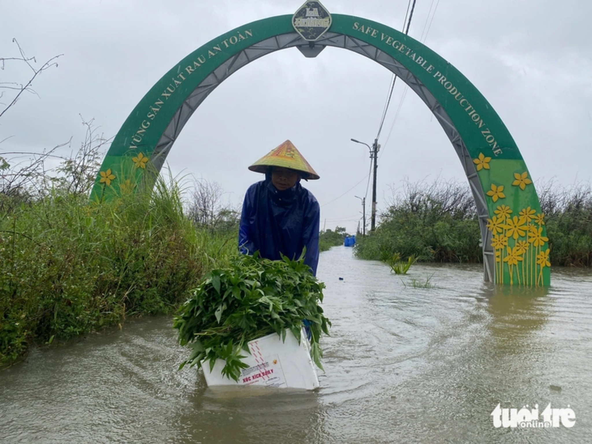 Mưa lũ thế này, người nông dân biết phải làm sao?