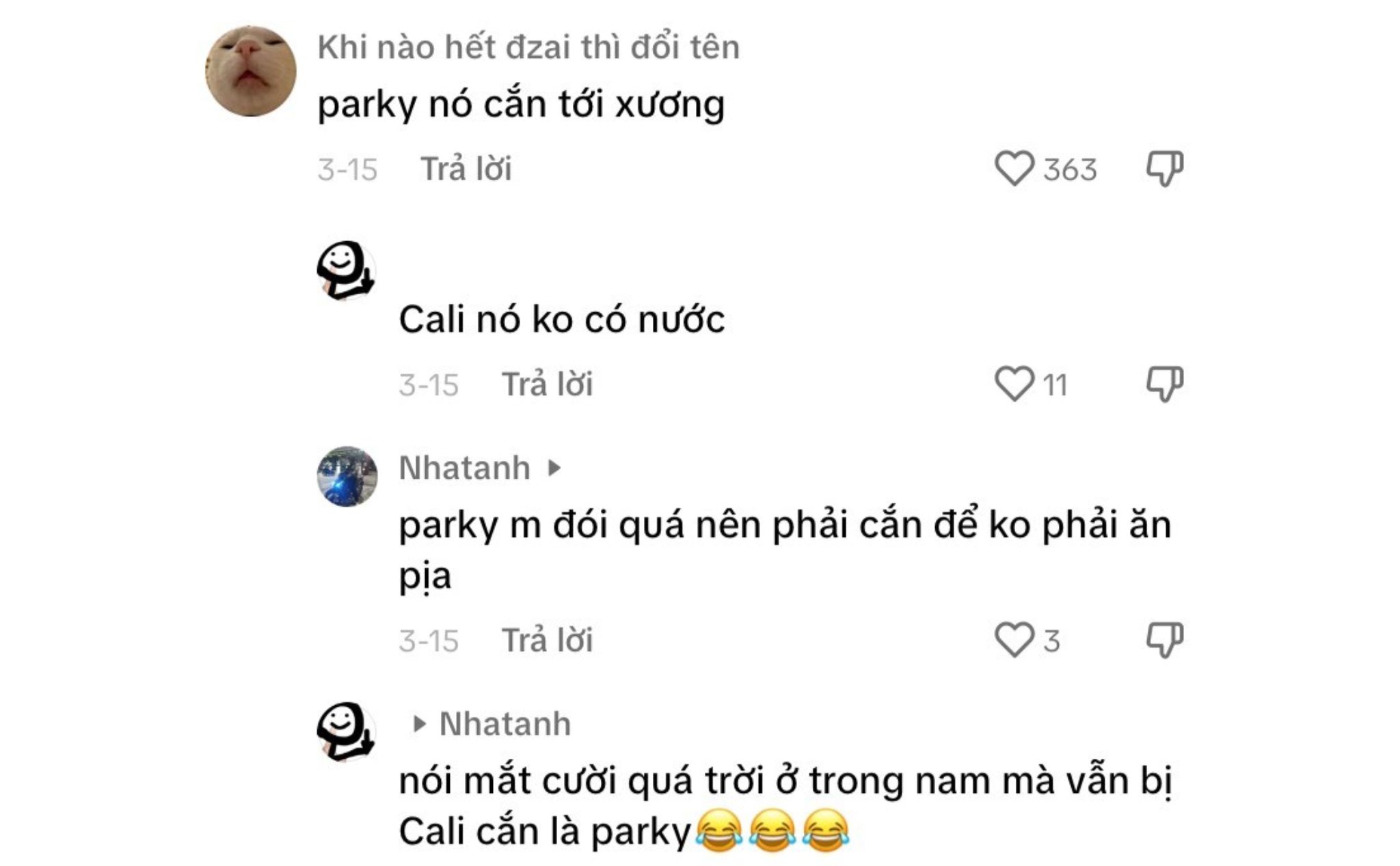 phailamgi_phân biệt vùng miền_cv2.jpg