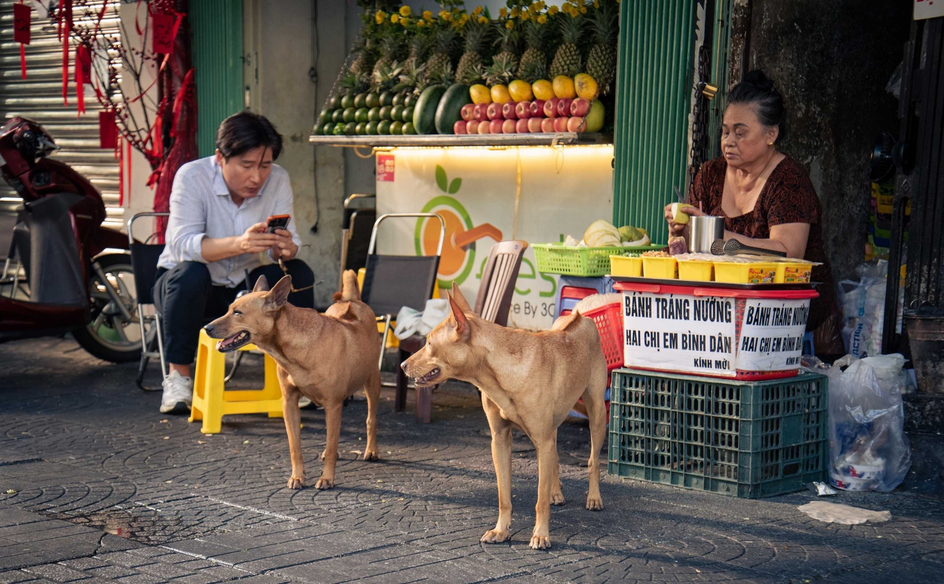 phailamgi_Tại sao cần “Chay” truyền thông_cv2.jpg