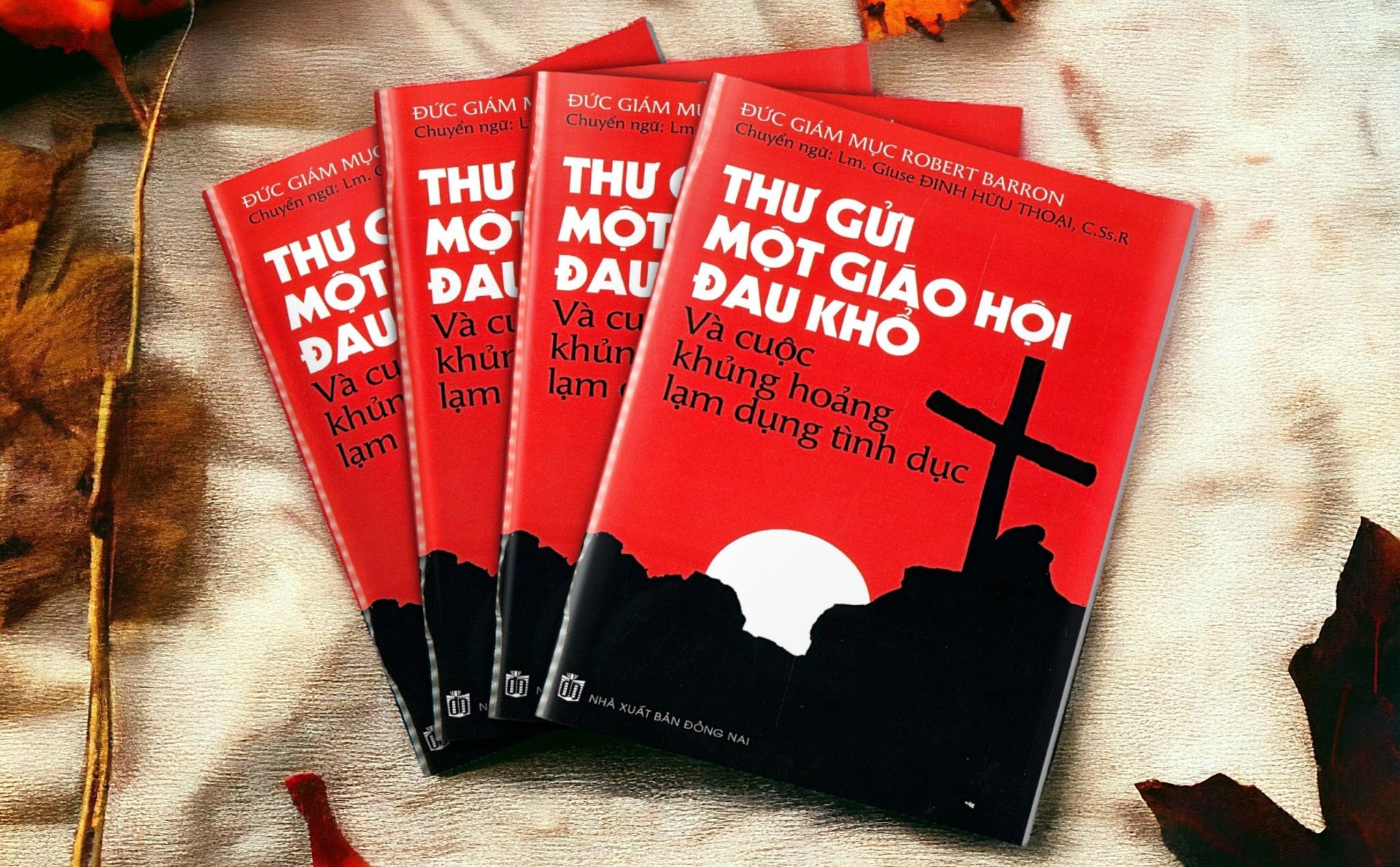 phailamgi_thư gửi một giáo hội đau khổ_cv.jpg