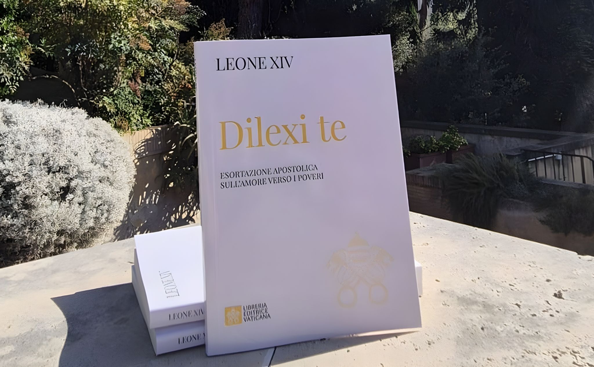 phailamgi_Tông huấn Delexi Te của Đức Lêô XIV Một lời mời gọi yêu thương người nghèo_cv2.jpg