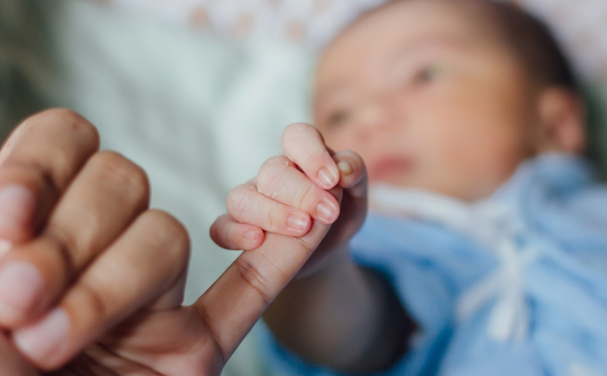 phailamgi_Từ 110 phụ nữ độc thân được phép làm IVF Một dấu hỏi lớn về phẩm giá sự sống_cv2.jpg
