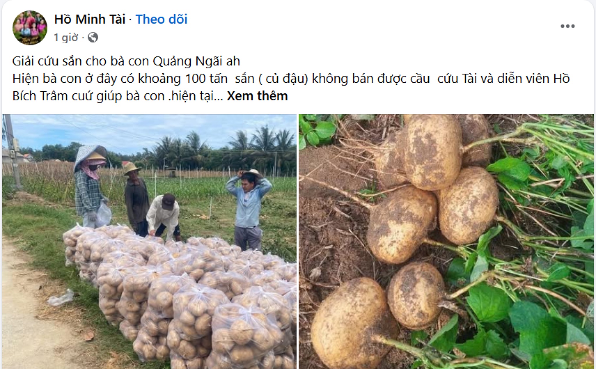 Phailamgi_Từ “giải cứu nông sản” đến một nền nông nghiệp công bằng hơn_cv.jpg