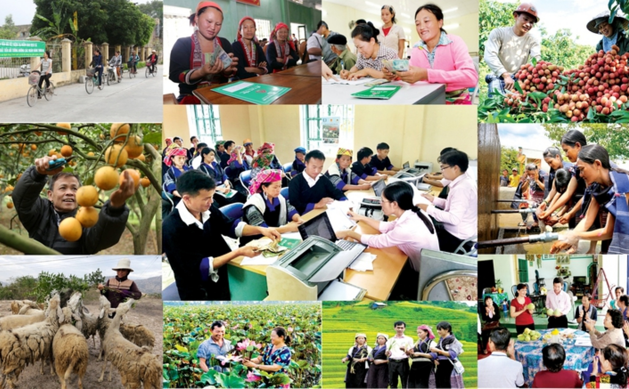 phailamgi_Vai trò của nhà nước và xã hội dân sự trong việc phát huy quyền lao động_cv1.jpg