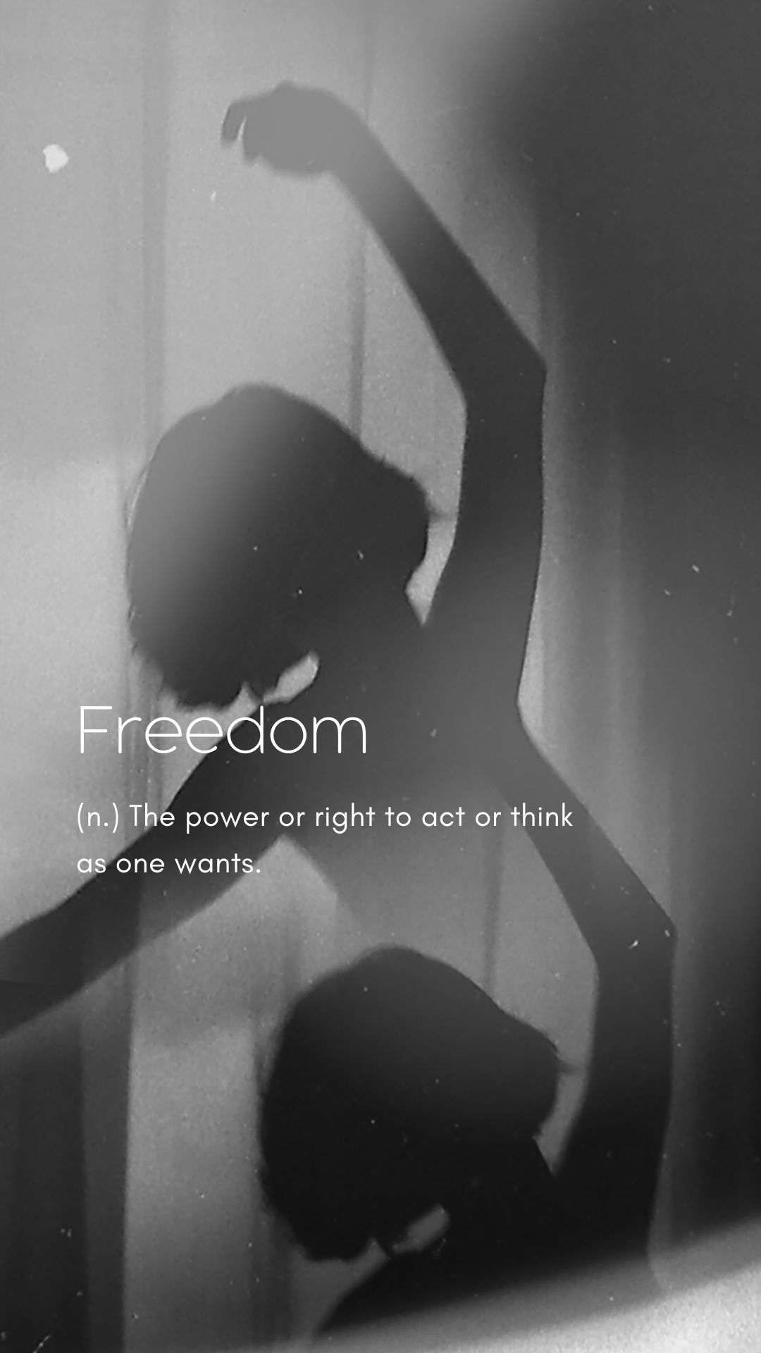 Freedom is not free