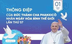 Cover_Thông điệp nhân ngày hòa bình thế giới của Đức thánh cha Phanxico_phailamgi.jpg