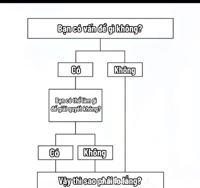 371979943_1490237368414889_1608775757517323681_n.jpg