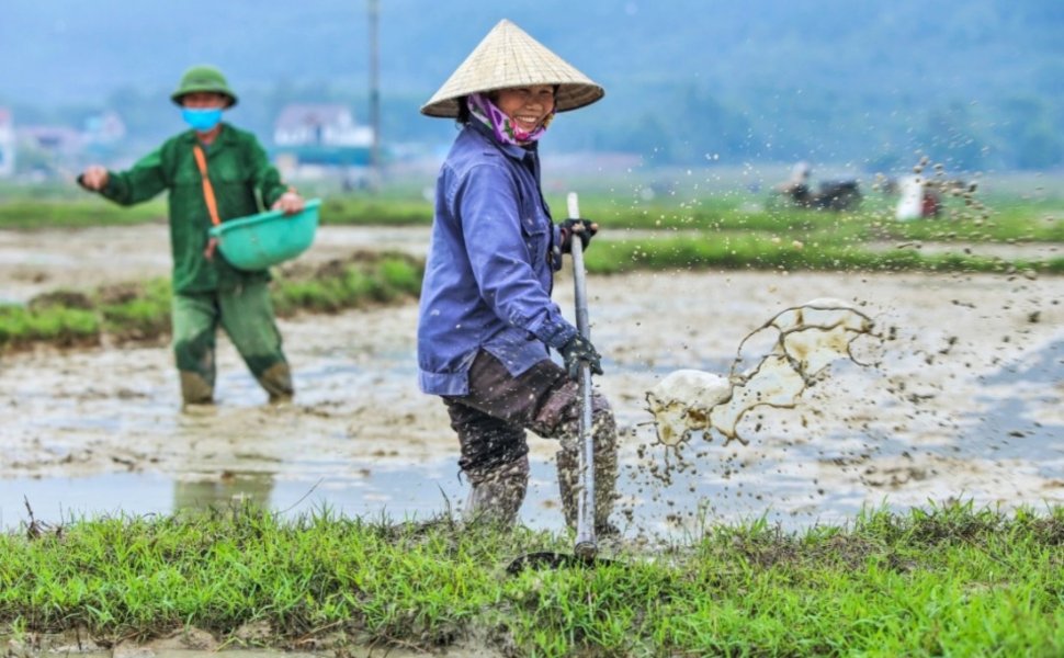 cover_nu cuoi nghe nong_phailamgi.jpg