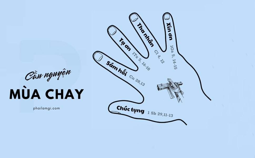 phailamgi_caunguyen_cv.jpeg