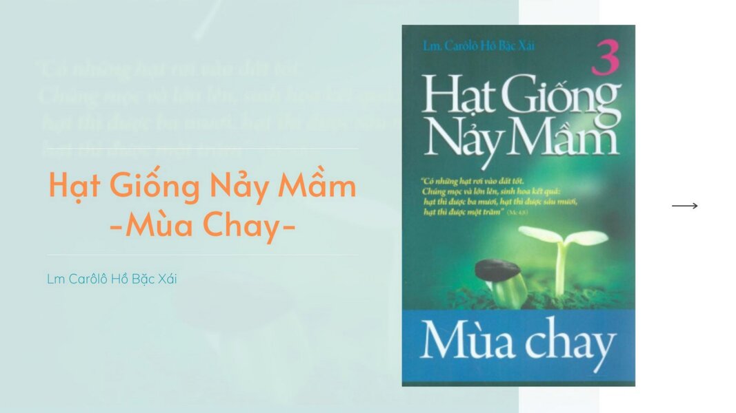 phailamgi_giới thiệu sách.jpg
